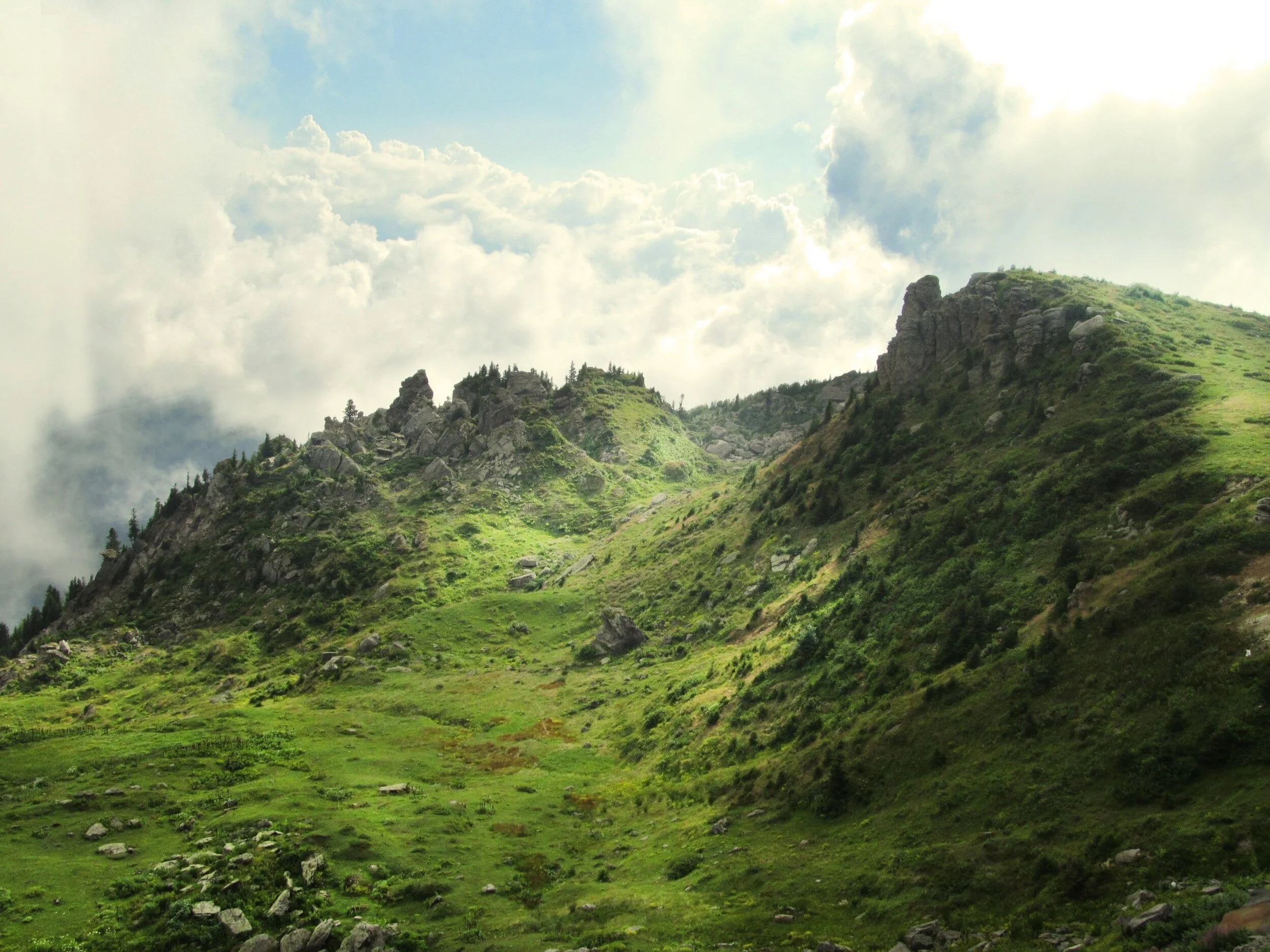 You don’t want to miss it.